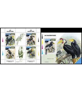 CHAD - 2022 - Hornbills -...