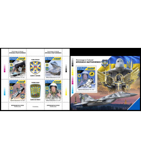 CIAD - 2022 - Pilota...