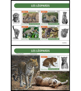 REPUBBLICA CENTRAFRICANA -...