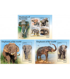 LIBERIA - 2022 - Elephants...