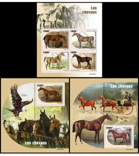 NIGER - 2022 - Cavalli -...