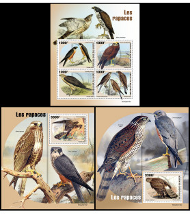 NIGER - 2022 - Uccelli...