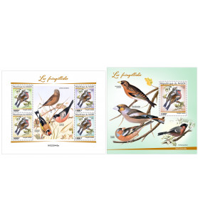 NIGER - 2022 - Finches -...
