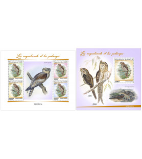 NIGER - 2022 - Nightjars -...