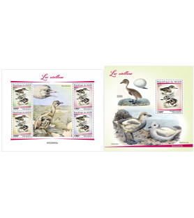 NIGER - 2022 - Baby birds -...