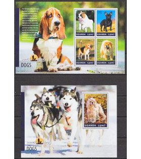 UGANDA - 2014 - Cani -...