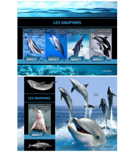 DJIBOUTI - 2022 - Dolphins...