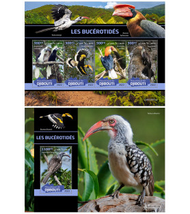 DJIBOUTI - 2022 - Hornbills...
