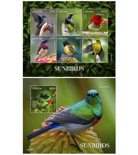 LIBERIA - 2022 - Sunbirds -...