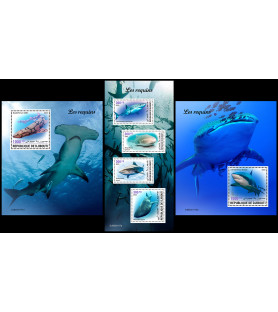 GIBUTI - 2023 - Squali -...