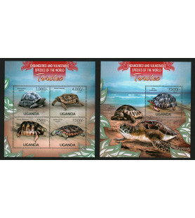 UGANDA - 2013 - Tartarughe...