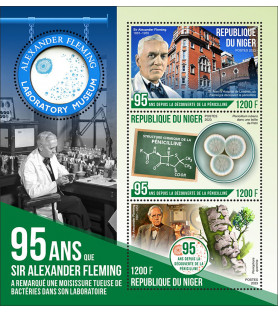 NIGER - 2023 - Alexander...