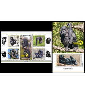 GUINEA - 2023 - Chimpanze -...