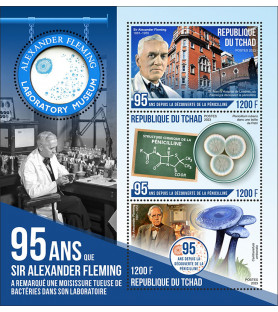 CIAD - 2023 - Alexander...