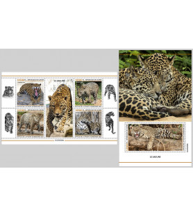 GUINEA - 2023 - Jaguar -...