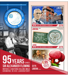 LIBERIA - 2023 - Alexander...
