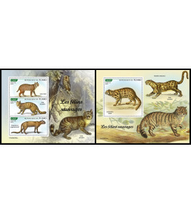 ČAD - 2023 - Divje mačke -...