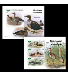 CIAD - 2023 - Uccelli...