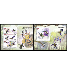 ČAD - 2023 - Kolibriji -...