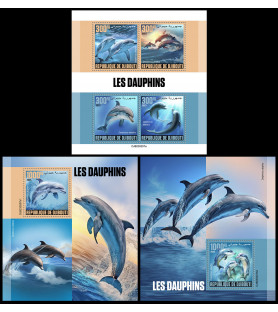 DJIBOUTI - 2023 - Dolphins...