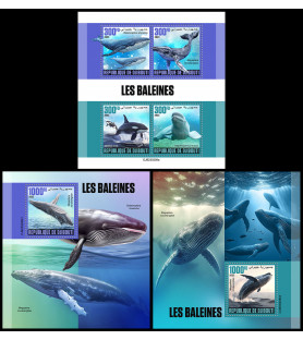 GIBUTI - 2023 - Squali -...