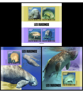 DJIBOUTI - 2023 - Dugong -...