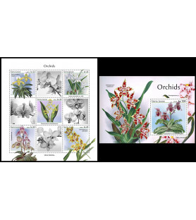 SIERRA LEONE - 2023 -...