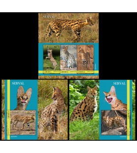 LIBERIA - 2023 - Servals -...