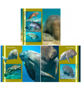 LIBERIA - 2023 - Dugongs -...
