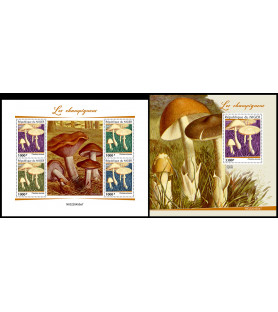 NIGER - 2022 - Gobe - mala...