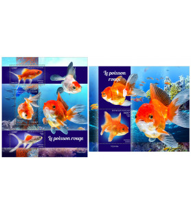 TOGO - 2023 - Goldfish -...