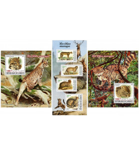 DJIBOUTI - 2023 - Wild Cats...
