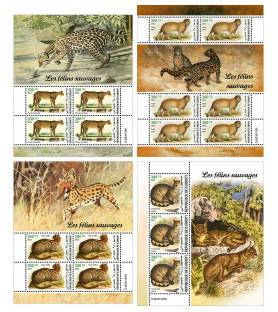 DJIBOUTI - 2023 - Wild Cats...