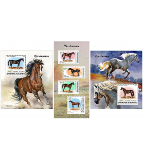 GIBUTI - 2023 - Cavalli -...