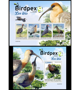 GUINEA - 2023 - Birdpex,...