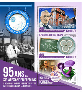 REPUBBLICA CENTRAFRICANA -...