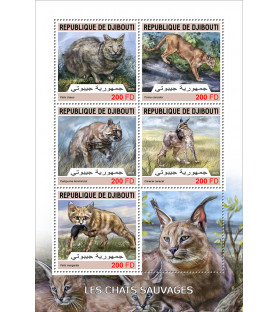 DJIBOUTI - 2023 - Wild Cats...