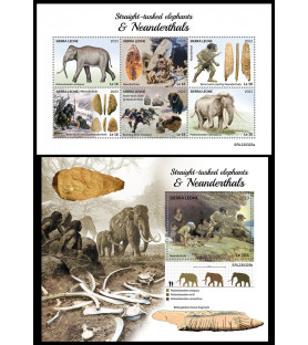 SIERRA LEONE - 2023 -...