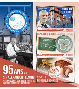 GUINEA - 2023 - Alexander...