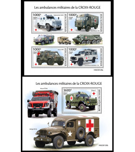 NIGER - 2023 - Ambulanze...