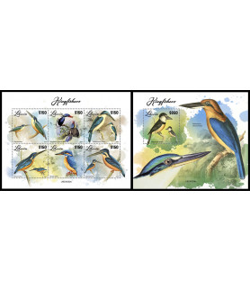 LIBERIA - 2023 - Kingfisher...