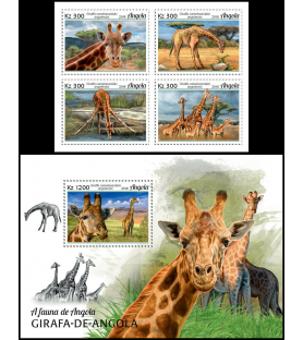 ANGOLA - 2018 - Giraffe -...