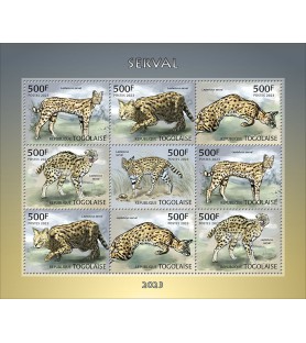 TOGO - 2023 - Servals -...