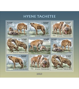 TOGO - 2023 - Hyänen -...